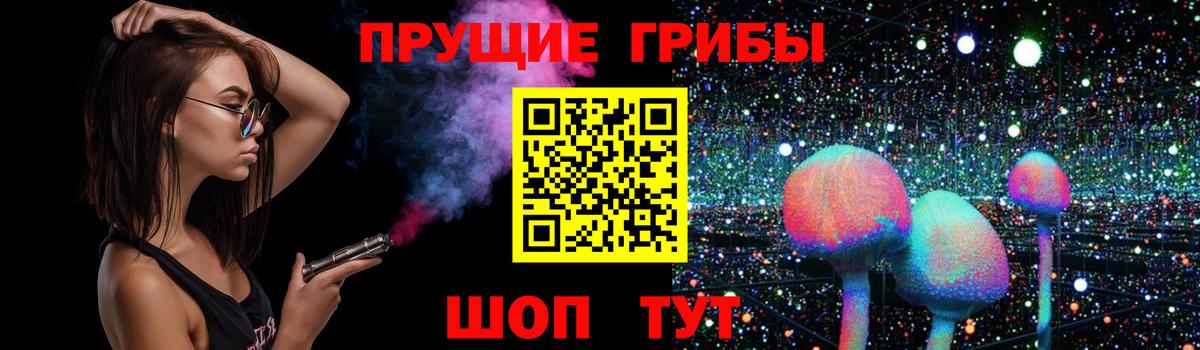 Псилоцибиновые грибы мицелий  Псилоцибиновые грибы Psilocybine cubensis  Вход с VPN  Кинель 