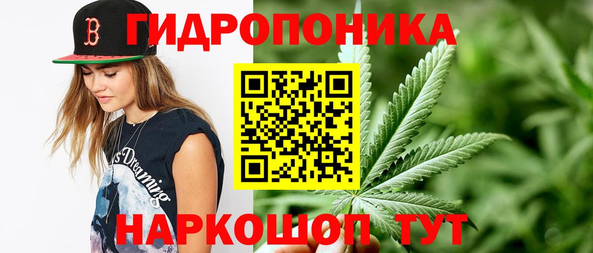 Канабис MAZAR  Конопля Bruce Banner  МАРИХУАНА семена  Вход с VPN  Конопля OG Kush  Кинель 